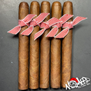 sorry, Nomad CHRISTMAS COOKIES Petit Toro 5ct Bundle image not available now!