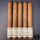 sorry, Ezra Zion Cinnamon Rolls & Icing 2021 L.E. Toro 5ct Bundle image not available now!
