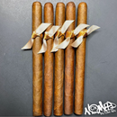 sorry, Nomad Caramel Corn 2021 L.E Lancero 5ct Bundle image not available now!