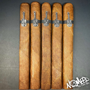 sorry, Nomad Metalhead Special Edition BP Toro Extra 5ct Bundle image not available now!