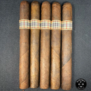 sorry, Ezra Zion Naughty Bits Lux Maduro 5ct Bundle image not available now!