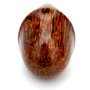 Tom Eltang Arcon w/ Horn Snail