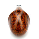 Tom Eltang Arcon w/ Horn Snail