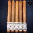 sorry, Ezra Zion Donut With Sprinkles Toro 5ct Bundle image not available now!